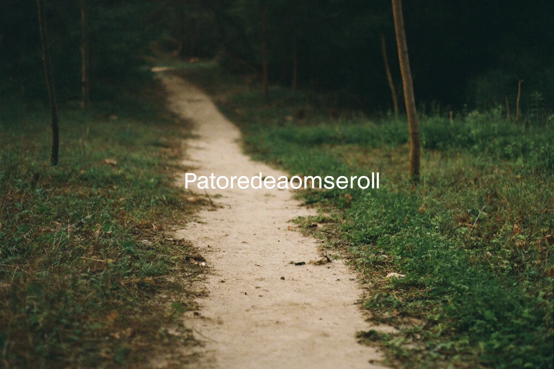 Een splitsing in een bospad, de ene kant duidelijk platgelopen.